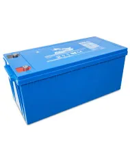 Victron 12V-220Ah AGM Batterie