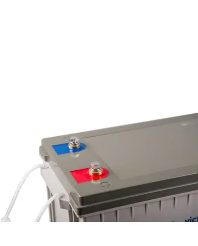 Batteria Carbonio 160Ah