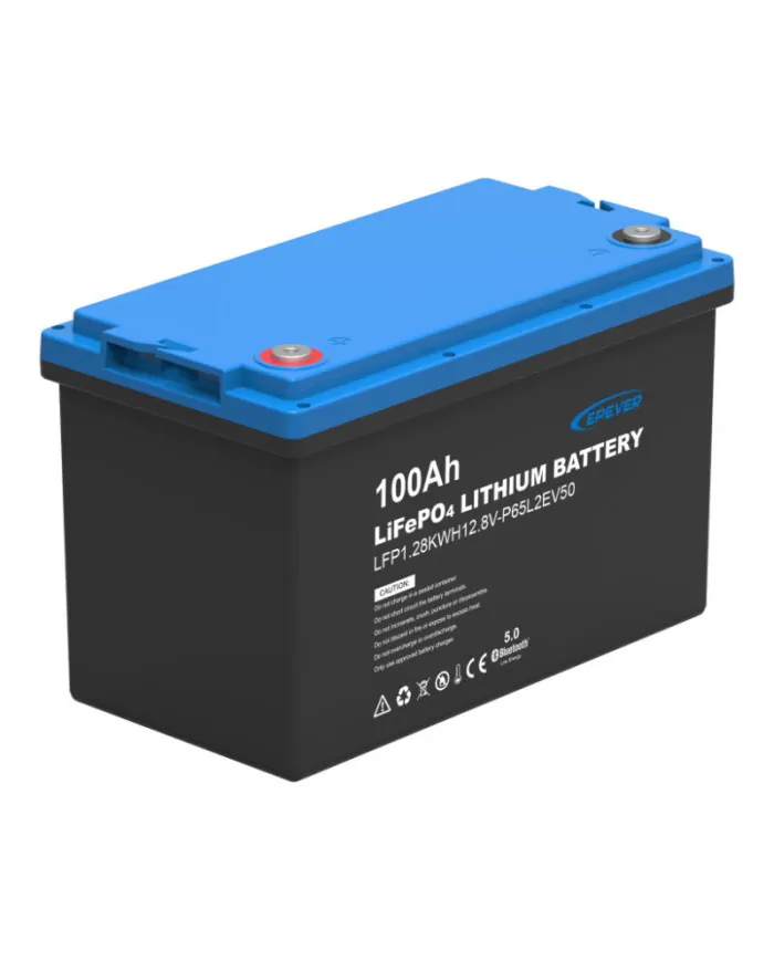 Epever LiFePO4 12.8V 100Ah IP65