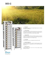 DEYE BOS-GM5.1 HV BOS-G