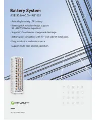 GROWATT AXE-1000100-C1 Modulo