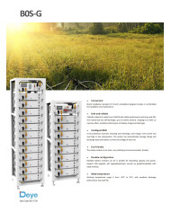 DEYE Jednostka Sterująca HV BOS-G+BASE (HVB750V/100A-EU)