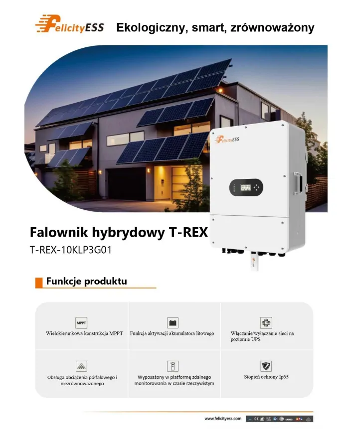 FelicityESS T-REX-10KLP3G01