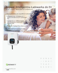 Growatt THOR 22AS-P-V1 (WiFi, LCD, RFID)