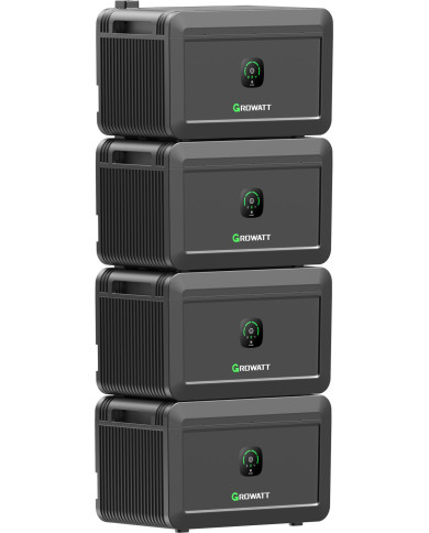 Growatt NOAH 2000 Batterij