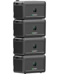 Growatt NOAH 2000 Battery