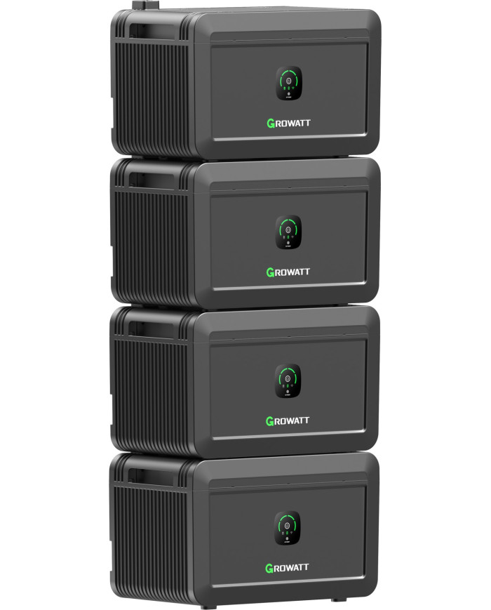 Growatt NOAH 2000 Batteri