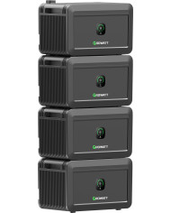 Growatt NOAH 2000 Batteri