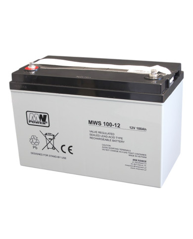 Acumulator MWS 100-12