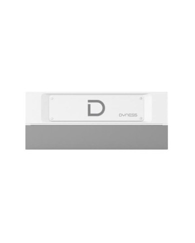 Dyness STACK100 BDU & Unità Base ES-Dyness-STACK100-BDU-EU