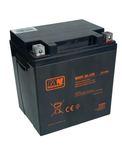 Batteria Moto YTX30L-BS 12V 30Ah AGM VRLA