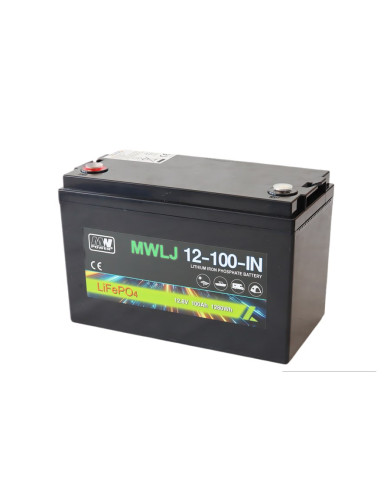 Batería LiFePO4 12.8V/100Ah
