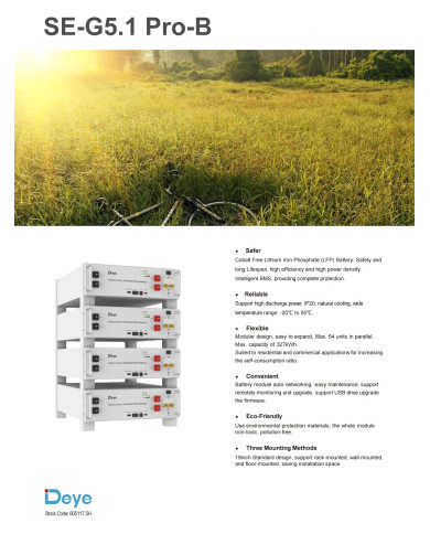 DEYE SE-G5.1-Pro-B 51.2V 100Ah 5.12kWh Battery