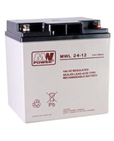 MWPower MWL24-12 Batteria AGM 12V 24Ah (M5)