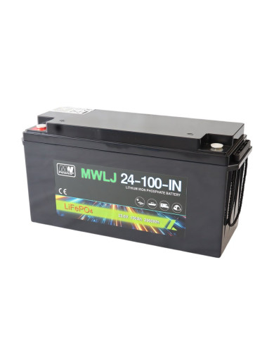Batteria LiFePO4 Smart 25.6V 100Ah, BMS, Bluetooth