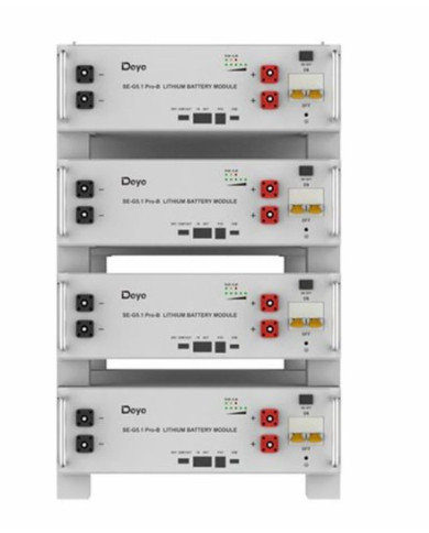 DEYE SE-G5.1-Pro-B 51.2V 100Ah 5.12kWh